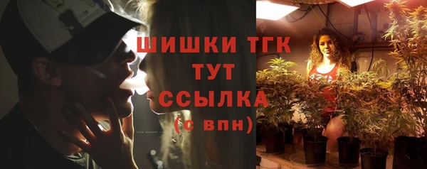 шишки Иннополис