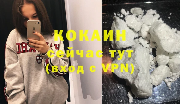 бошки Инта