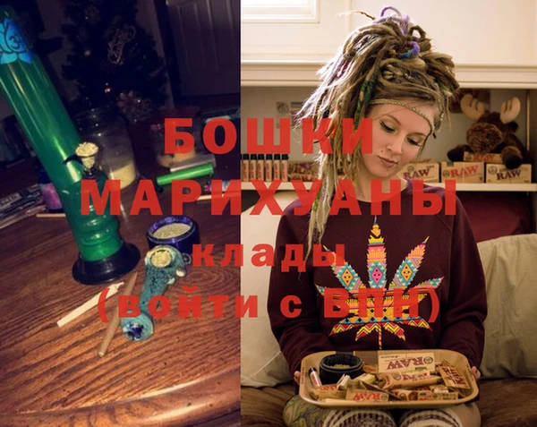 бошки Инта