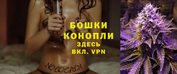 бошки Инта