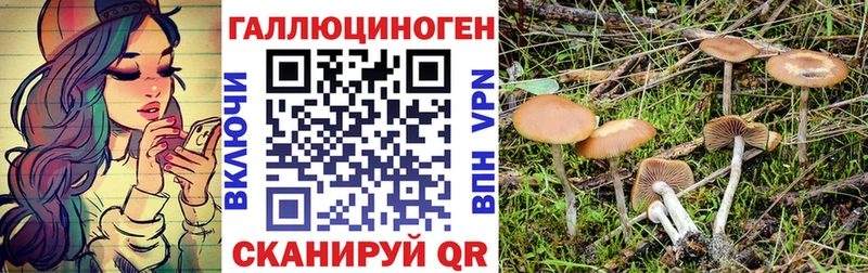 Галлюциногенные грибы MAGIC MUSHROOMS  Купить закладки  Заинск 